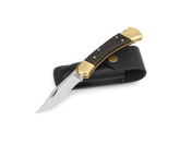 Buck Knives 110 Folding Hunter® Knife