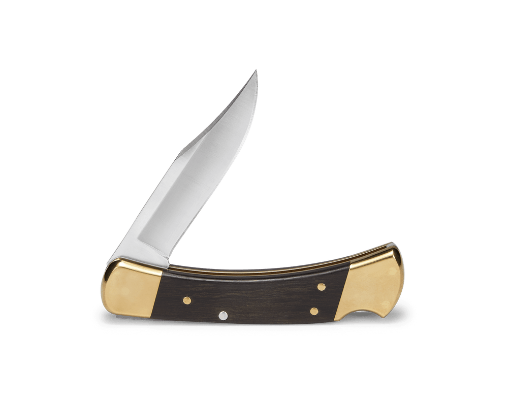 Buck Knives 110 Folding Hunter® Knife