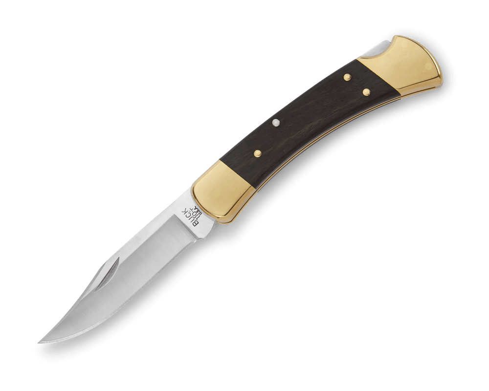 Buck Knives 110 Folding Hunter® Knife