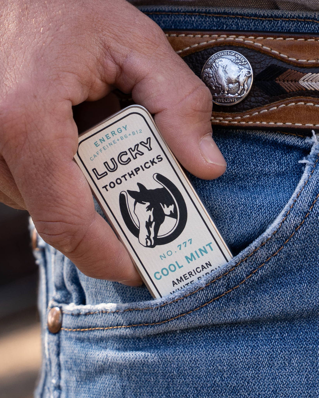 LUCKY TOOTHPICKS Cool Mint 30 COUNT TIN
