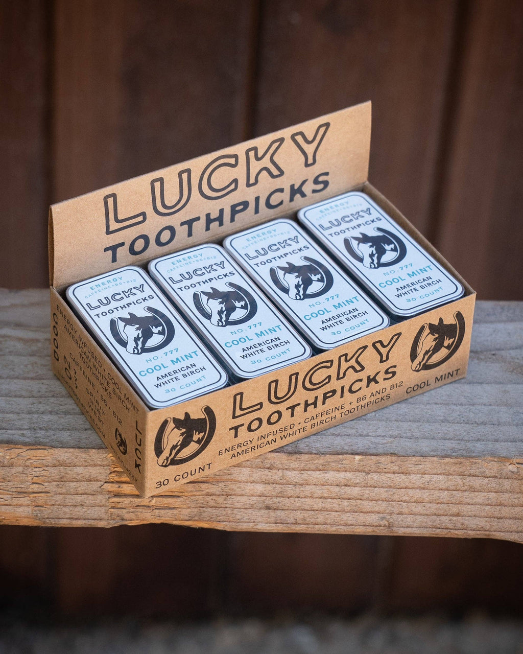 LUCKY TOOTHPICKS Cool Mint 30 COUNT TIN