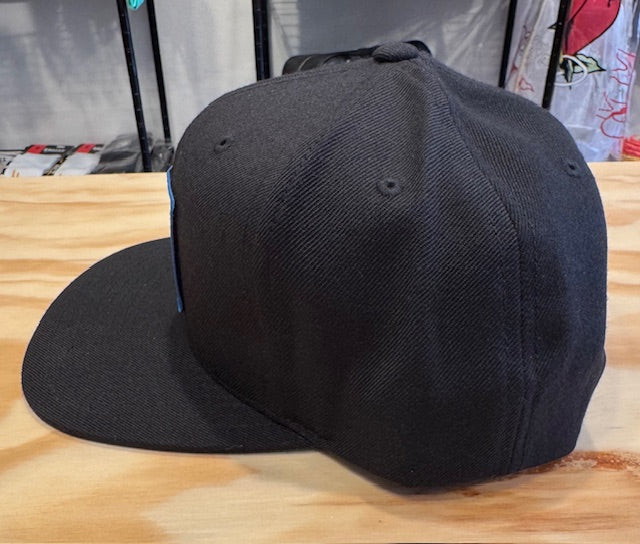 NWOT Sanford Shapes USA Made Skateboards Snapback Hat