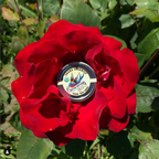 Tattoo Butter- Unscented 2oz